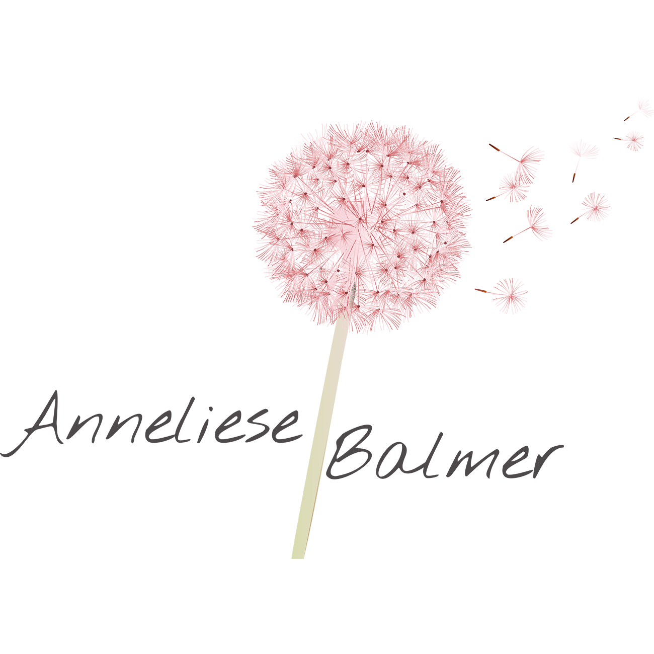 anneliese-balmer.ch